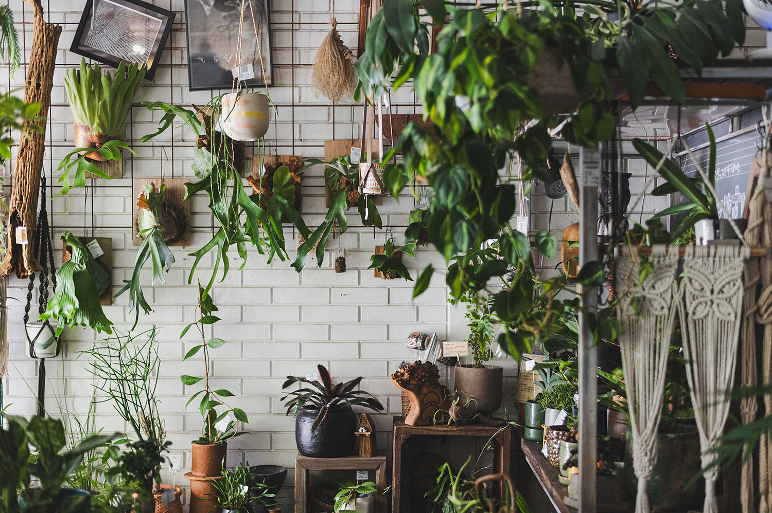 私たちが考える植物との向き合い方